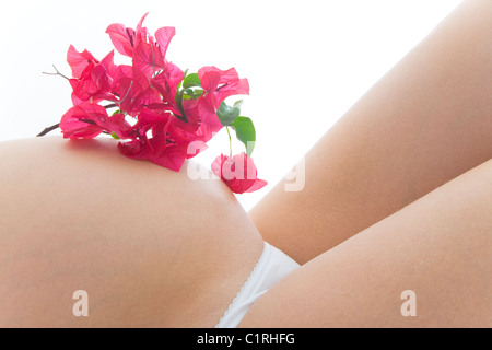 Nahaufnahme einer Frau im sechsten Monat der Schwangerschaft mit Bougainvillea Blumen auf ihrem Bauch und weißem Hintergrund Stockfoto