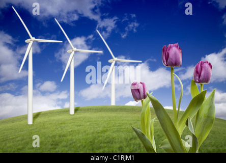 Windkraftanlagen vor dramatischer Himmel, Wolken und Veilchen im Vordergrund. Stockfoto