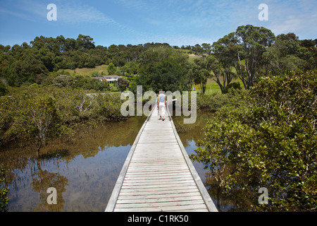 Familie auf Promenade über Mangroven, Sandspit, in der Nähe von Warkworth, Region Auckland, Nordinsel, Neuseeland Stockfoto