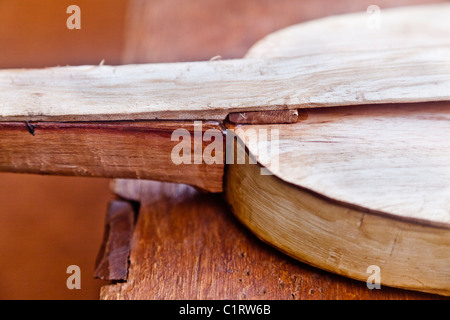 Angel Morinigo, ein Mbya Guarani Handwerker und Musiker, Hand-Gebäude eine Guarani 3-saitige Geige (Rabe). Stockfoto