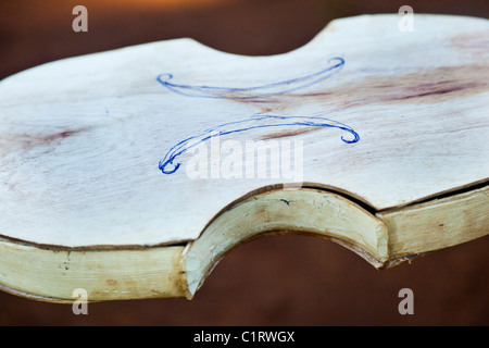 Angel Morinigo, ein Mbya Guarani Handwerker und Musiker, Hand-Gebäude eine Guarani 3-saitige Geige (Rabe). Stockfoto