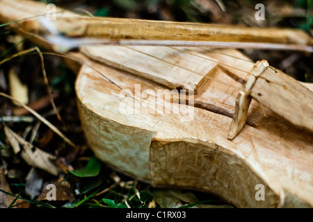 Handgefertigte Mbya Guarani indigenen Violine. Aldea Katupyry in der Nähe von San Ignacio, Misiones, Argentinien. Stockfoto