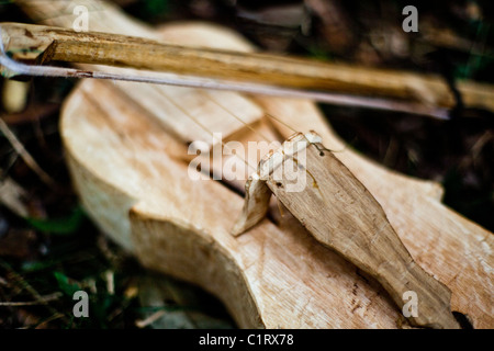 Handgefertigte Mbya Guarani indigenen Violine. Aldea Katupyry in der Nähe von San Ignacio, Misiones, Argentinien. Stockfoto