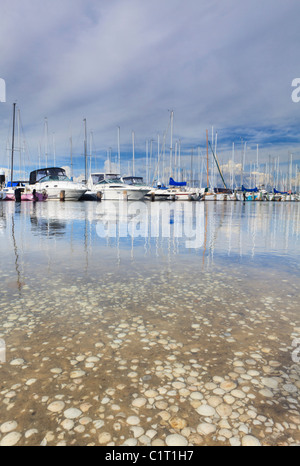 Yachten ankern am South Perth Yacht Club mit Muscheln im Vordergrund. Stockfoto