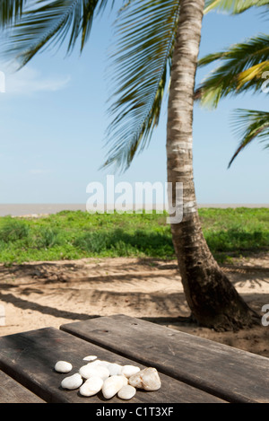 Kiesel auf Picknick-Tisch am Strand Stockfoto