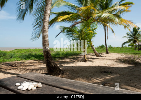 Kiesel auf Picknick-Tisch am Strand Stockfoto