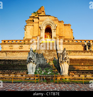 Wat Chedi Luang - Chiang Mai Stockfoto