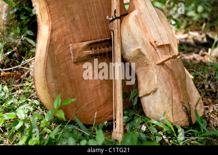 Handgefertigte Mbya Guarani indigenen Violine. Stockfoto