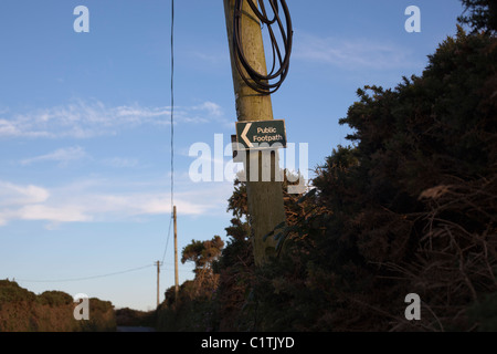 Öffentlichen Fußweg Schild mit Pfeil auf Telegrafenmast in Feldweg Stockfoto