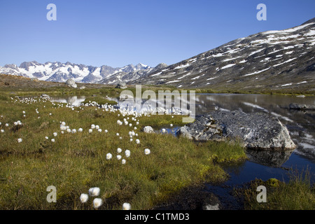 Grönland Sermiligaq-Fjord Stockfoto