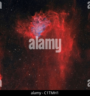 Der Flaming Star Nebel, auch bekannt als IC 405. Stockfoto