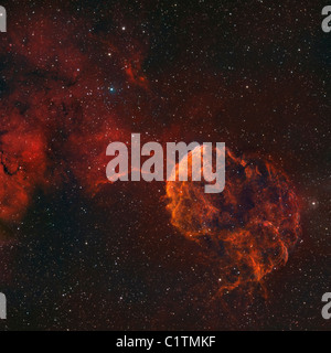 Die Quallen-Nebel, auch bekannt als IC 443 und Sharpless 248. Stockfoto