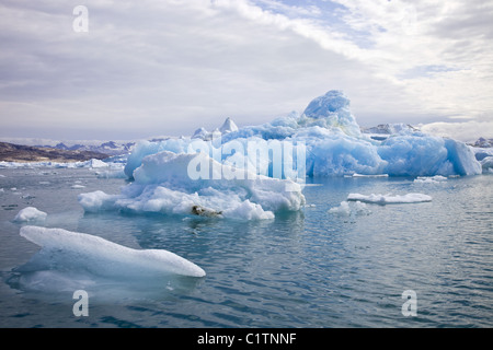 Eisschollen im Sermilik fjord Stockfoto