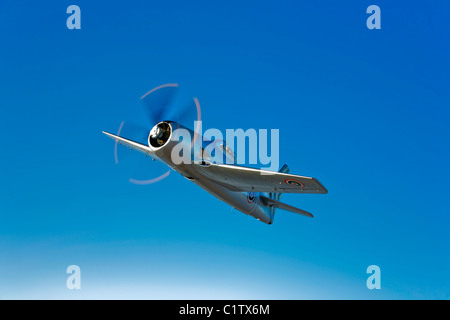 Eine Grumman F8F Bearcat im Flug in der Nähe von Chino, Kalifornien. Stockfoto