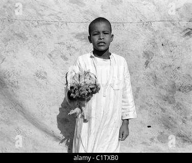 Junge mit seinem Haustier Eule, Kamelmarkt, Daraw, Oberägypten Stockfoto