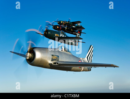 Zwei Grumman F8F Bearcats und zwei F7F Tigercats fliegen in Formation in der Nähe von Chino, Kalifornien. Stockfoto