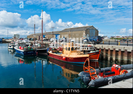 Schottland Orkney Kirkwall Hafen mit Fischerbooten vor Anker an der Pier an einem sonnigen Junitag Stockfoto