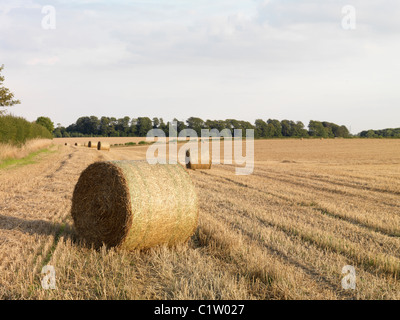 Heuballen im Feld aus Copley Lane, Aberford, Leeds Stockfoto