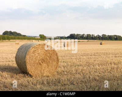 Heuballen im Feld aus Copley Lane, Aberford, Leeds Stockfoto