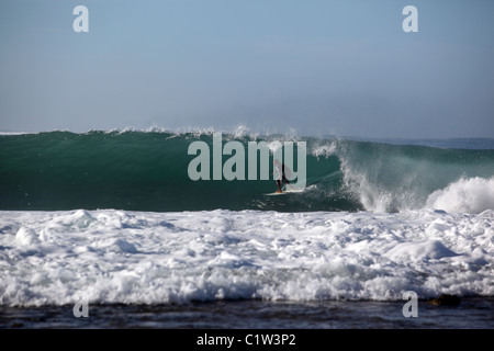 Surfen die gefährliche Welle genannt Indikatoren in Lagundri Bay, Insel Nias, Sumatra, Indonesien, Südostasien Stockfoto