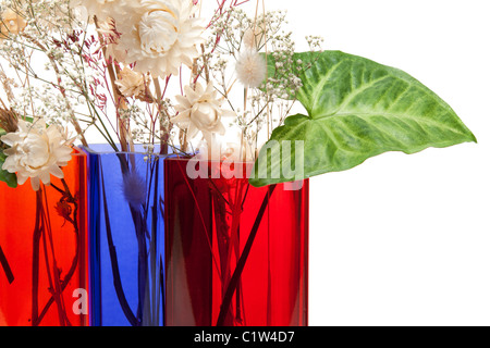 Strauß aus trockenen Kräuter und grünes Blatt in Farbe Glasvase auf weißem Hintergrund Stockfoto