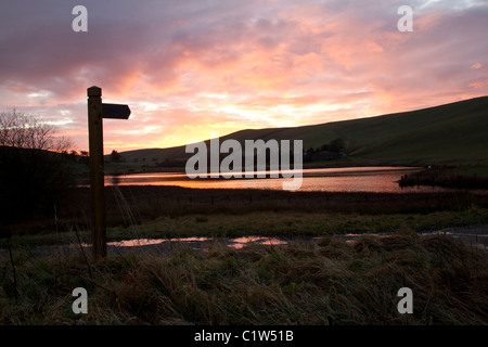 Llynhelyn Pool, in der Nähe von neuen Radnor, Powys, Wales bei Sonnenaufgang Stockfoto