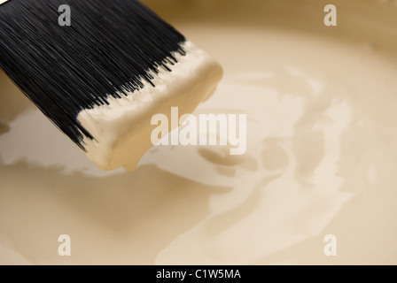 Pinsel in Farbe getaucht Stockfoto