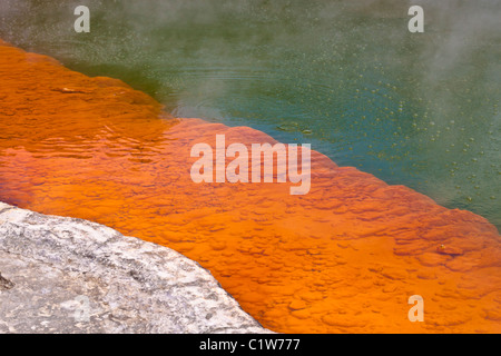 Detail der Champagne Pool im Wai-O-Tapu Wunderland. Geothermische Gebiet an der Wai-O-Tapu, Rotorua, Nordinsel, Neuseeland. Stockfoto