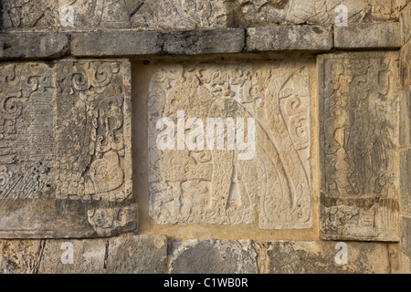 Relief Schnitzerei, Darstellung eines Jaguars Essen ein menschliches Herz auf der Plattform der Adler und Jaguare in Chichen Itza, Yucatan, Mexco. Stockfoto