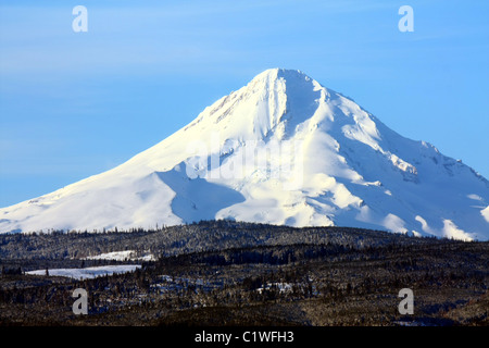 40,600.03123 einer fernen schneebedeckten Berg - Mt Hood (11,240 ft hoch) - Steigende über einen Baum fallenden Ridge Top, gegen ein weiches blauen Himmel. Stockfoto