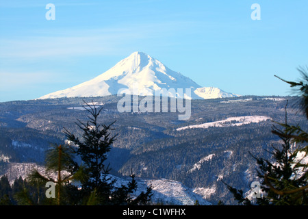 40,600.03124 einer fernen schneebedeckten Berg - Mt Hood (11,240 ft hoch) - Steigende über einen Baum fallenden Ridge Top, gegen ein weiches blauen Himmel. Stockfoto