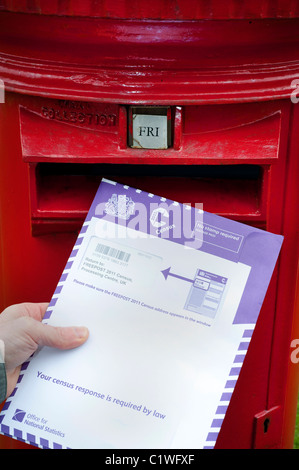 Person, die Buchung abgeschlossen Zensus-Formular im Briefkasten uk Stockfoto