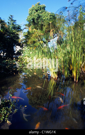 Jardin de l ' Etat Garten, Saint-Denis, La Réunion (Frankreich), Indischer Ozean Stockfoto