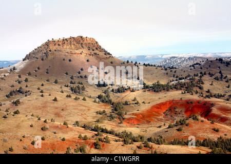 40,600.03268 High Desert Valley, Graten und rock Hügel/Berge/Buttes mit roter brauner Boden bis rotbraun. Wacholder, Winter, fast kein Schnee. Stockfoto