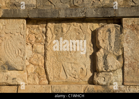 Relief Schnitzerei, Darstellung eines Jaguars Essen ein menschliches Herz auf der Plattform der Adler und Jaguare in Chichen Itza, Yucatan, Mexco. Stockfoto