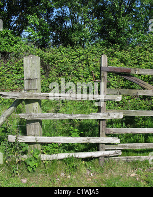 alte hölzerne Tor und Zaun Stockfoto