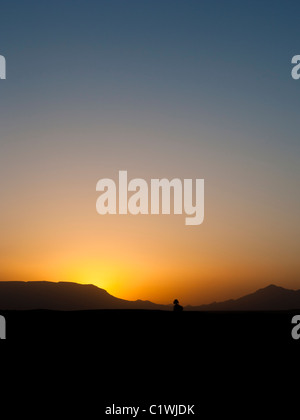 Wüste Sahara, Marokko, Afrika - Wüste Sonnenaufgang über dem fernen Berge. Zeigen eine einzige Palme in der Wüste. Stockfoto