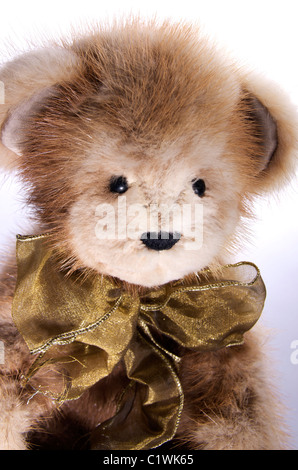 Eine Nahaufnahme von einem Real-Pelz-Teddybär. Stockfoto