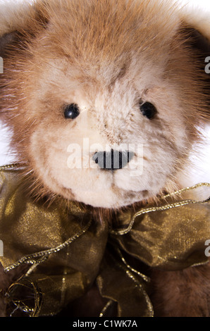 Eine Nahaufnahme von einem Real-Pelz-Teddybär. Stockfoto