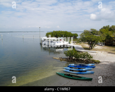 Kajaks in Tarpon Bay, Ding DArling Wildlife Refuge, Sanibel (Tarpon Bay Explorers) Stockfoto