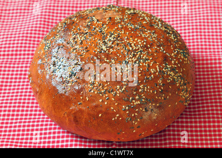 Zu Hause frisch gebackenes Brot Stockfoto