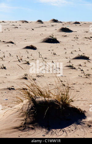 Aussicht auf kleinen natürlichen geformten Hügel durch den Wind am Strand. Stockfoto