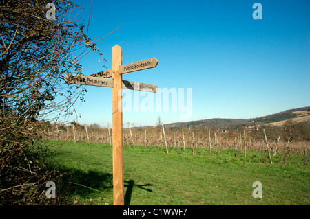 Wegweiser zum öffentlichen Fußweg durch Denbies Wine Estate, das größte Weingut in England, UK Stockfoto