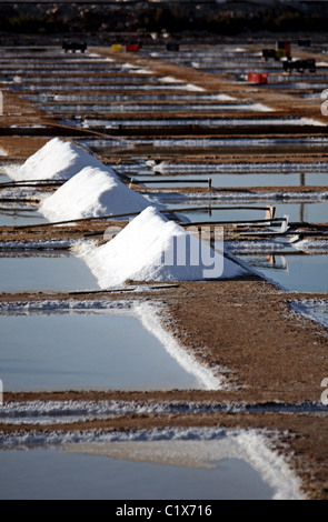 Salz Häufchen auf eine Kochsalzlösung Erkundung in der Nähe von Olhão, Portugal. Stockfoto