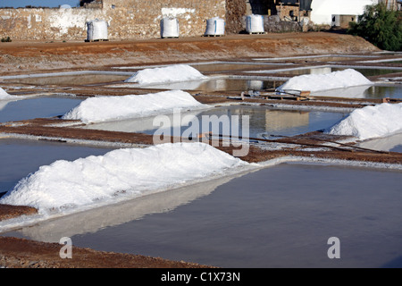 Viele Pfähle des Salzes auf eine Kochsalzlösung Exploration-Website. Stockfoto