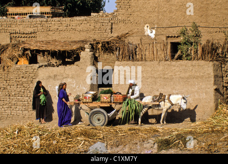 Mann, Verkauf von Produkten im Dorf in der Nähe von Luxor, Ägypten Stockfoto