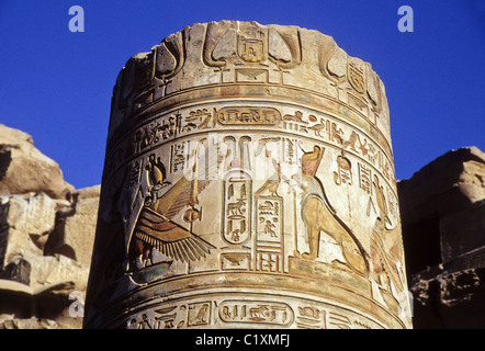 Bemalte Reliefs auf Spalte, Kom Ombo Tempel, Ägypten Stockfoto