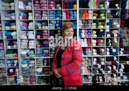 "Clare" Wolle Shop, -ein unabhängiger vor Ort im Besitz Kleinunternehmen, Aberystwyth Wales UK Stockfoto