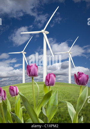 Windkraftanlagen vor dramatischer Himmel, Wolken und Veilchen im Vordergrund. Stockfoto