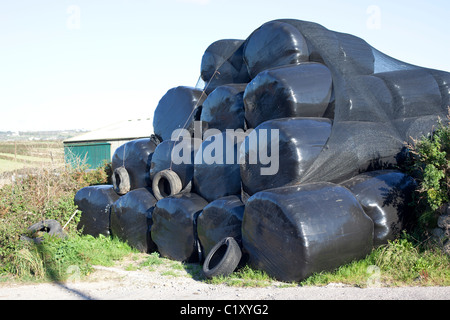 Silageballen gewickelt in schwarzem Kunststoff auf Cornish Bauernhof Stockfoto